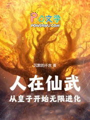 人在仙武，从皇子开始无限进化